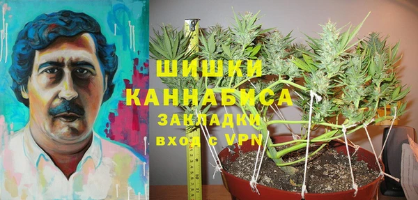 не бодяженный Богородицк