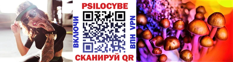 купить   Тимашёвск  Галлюциногенные грибы GOLDEN TEACHER 